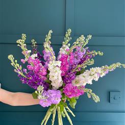 Scented Stocks Hand Tied Bouquet