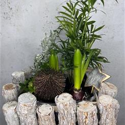 Log Basket Planter