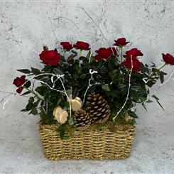 Red Kalanchoe &amp; Palm Christmas Basket