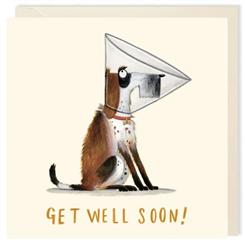 Doggy Get Well Soon