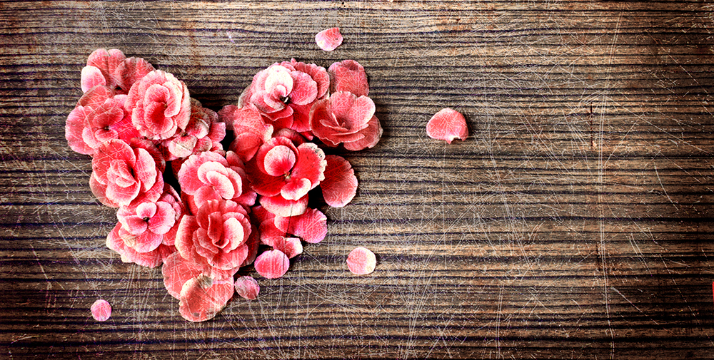 The Flower Shop Norfolk