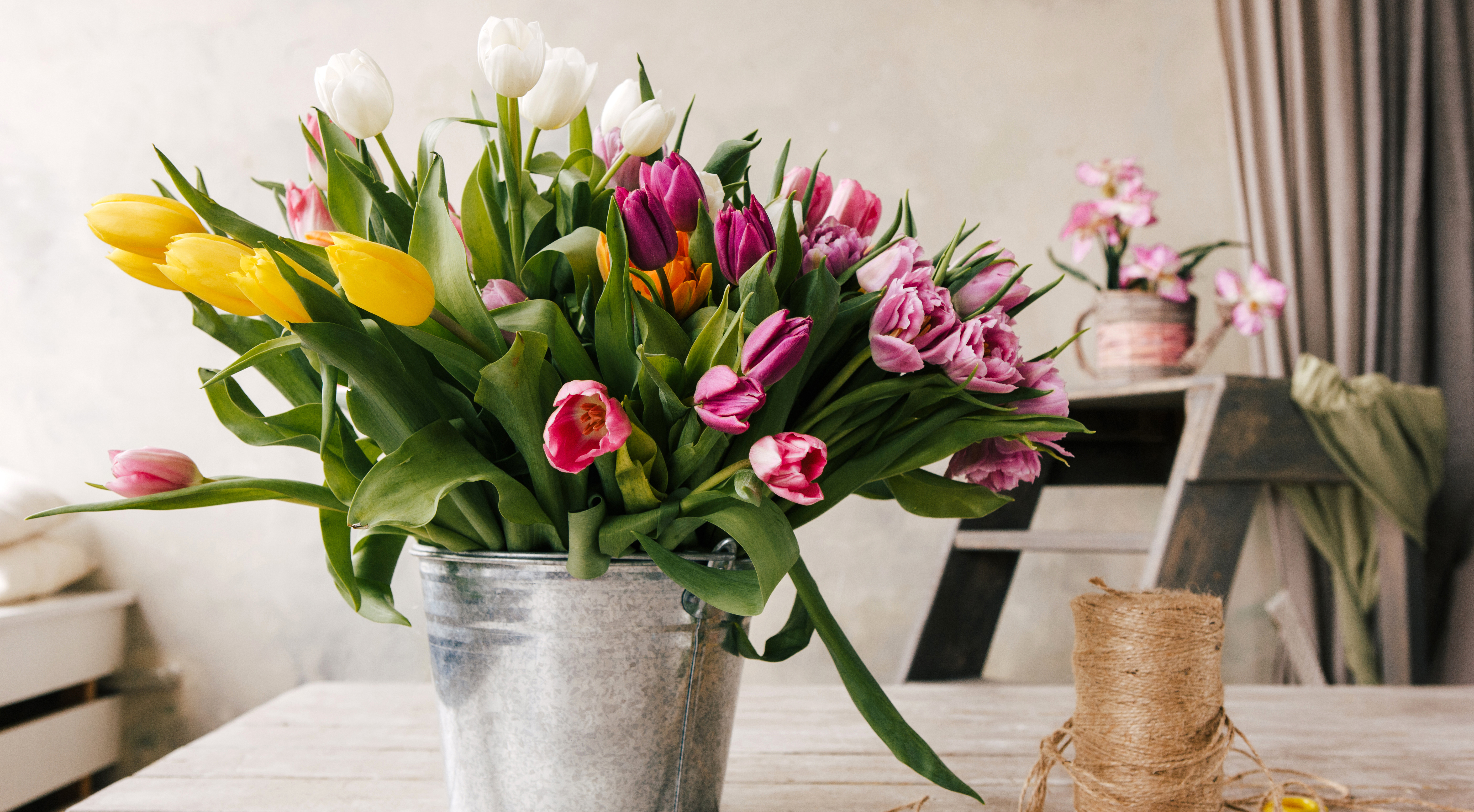 The Flower Shop Norfolk